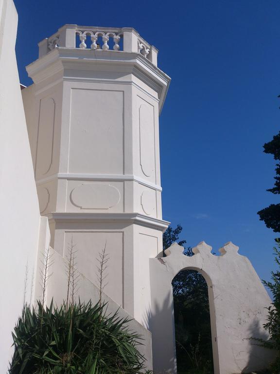 Villa-Chateau Les Terrasses - Tamaris, Plage Des Sablettes, Mer Au Bas De La Propriete La Seyne-sur-Mer Dış mekan fotoğraf