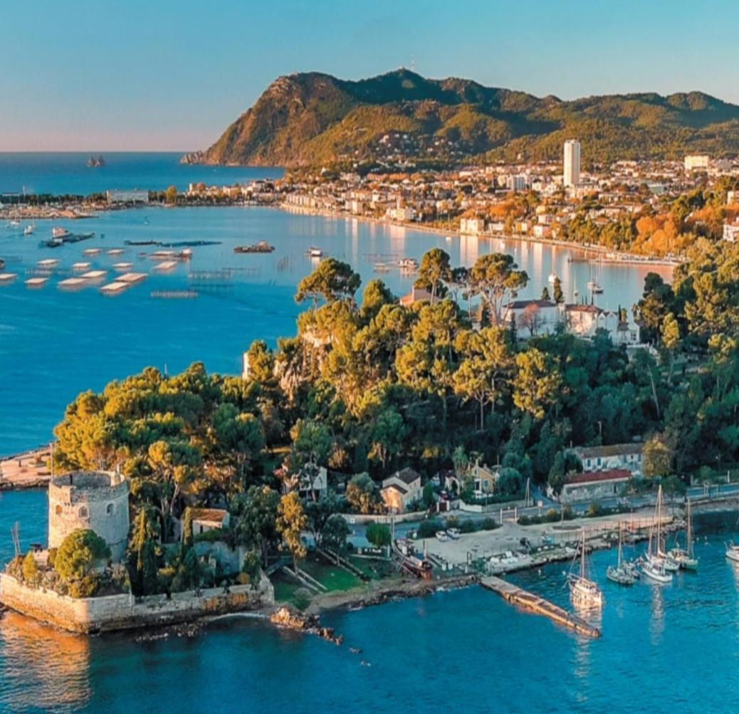 Villa-Chateau Les Terrasses - Tamaris, Plage Des Sablettes, Mer Au Bas De La Propriete La Seyne-sur-Mer Dış mekan fotoğraf