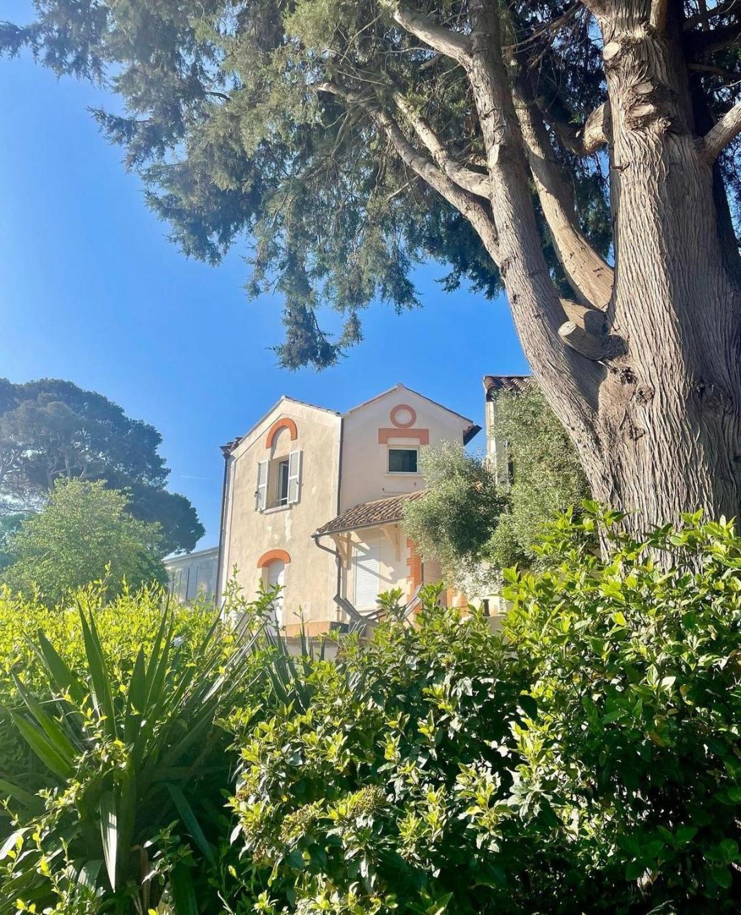 Villa-Chateau Les Terrasses - Tamaris, Plage Des Sablettes, Mer Au Bas De La Propriete La Seyne-sur-Mer Dış mekan fotoğraf