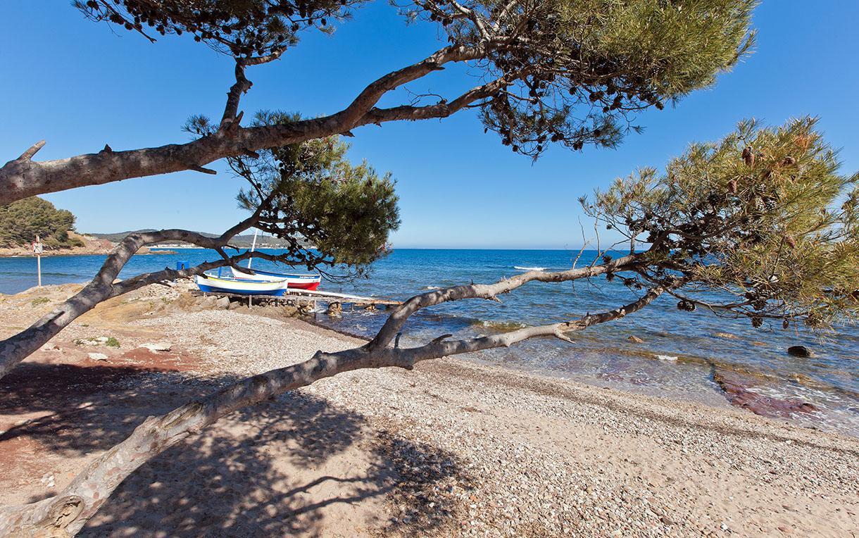 Villa-Chateau Les Terrasses - Tamaris, Plage Des Sablettes, Mer Au Bas De La Propriete La Seyne-sur-Mer Dış mekan fotoğraf